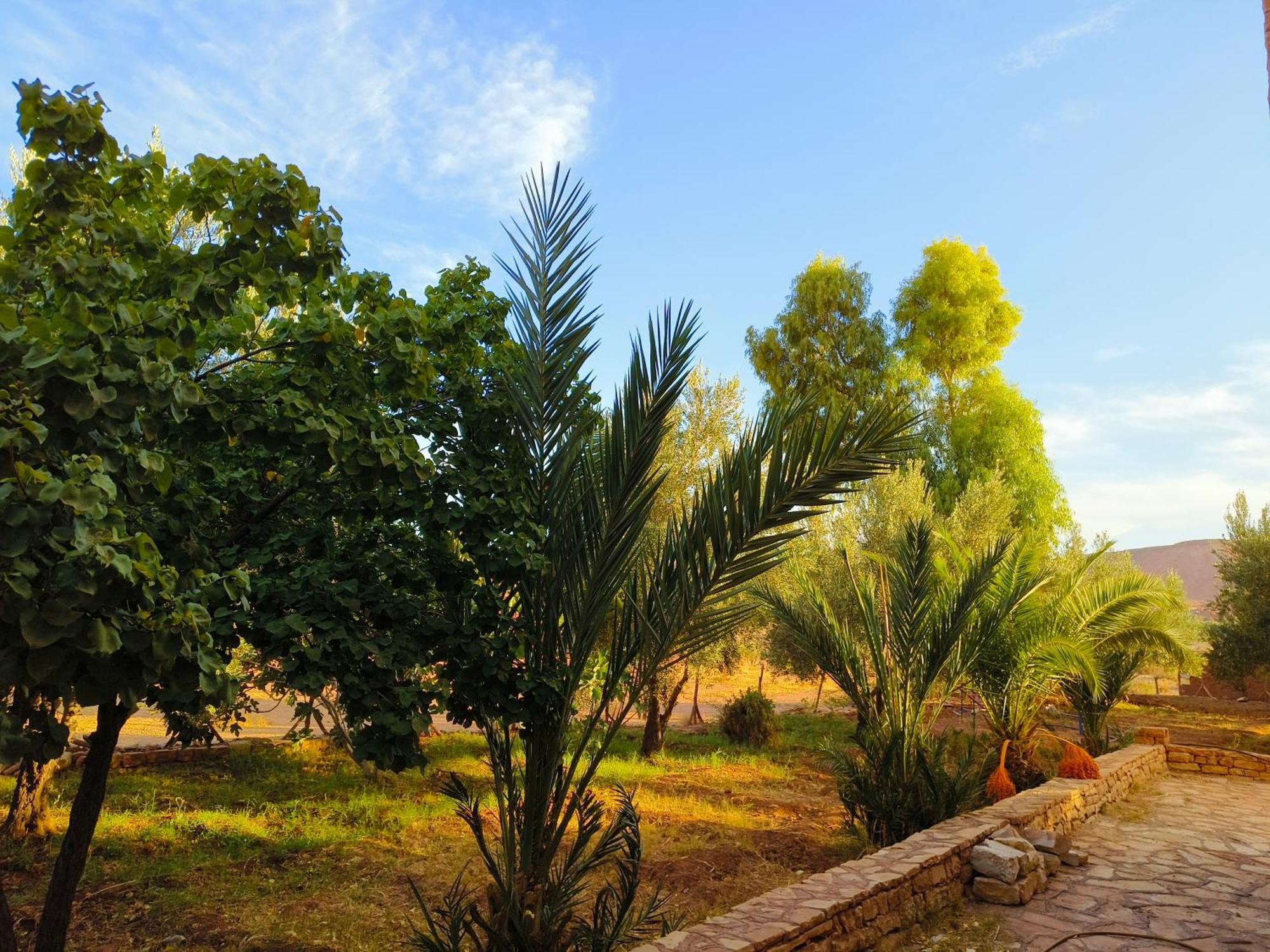 Kasbah Imini Restaurant & Hotel Amerzgane Dış mekan fotoğraf