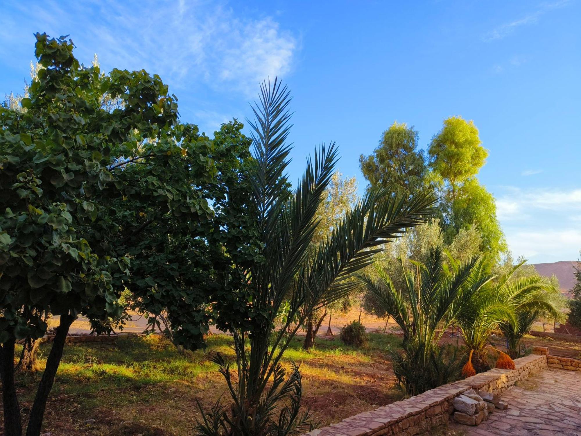 Kasbah Imini Restaurant & Hotel Amerzgane Dış mekan fotoğraf